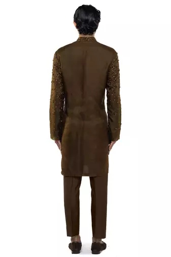 Brown embroidered organza kurta set