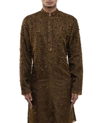 Brown embroidered organza kurta set 7