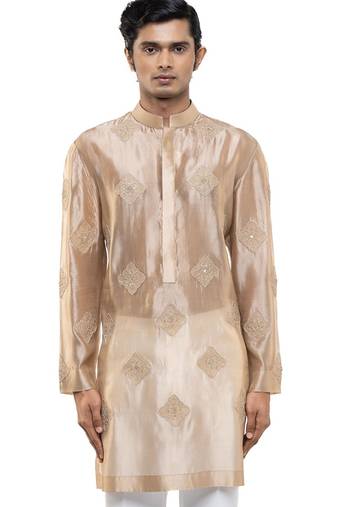 Beige embroidered organza kurta set