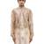 Beige embroidered organza kurta set