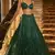 GREEN Rainbow Sequins & Dori Work Net Flared Lehenga with Net Dupatta and Unstitched Net Blouse