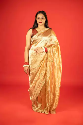 Gold embroidered tissue saree