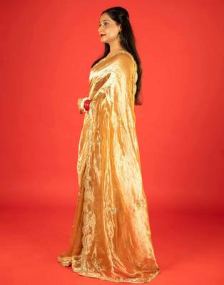 Gold embroidered tissue saree 3