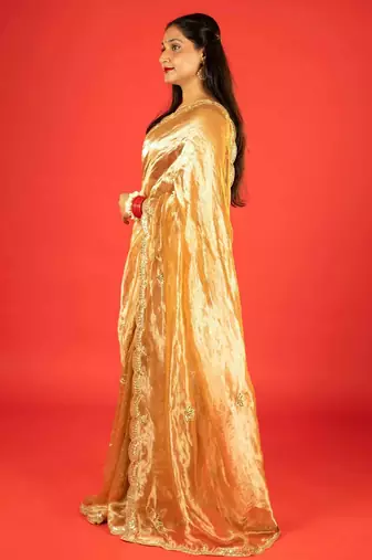 Gold embroidered tissue saree