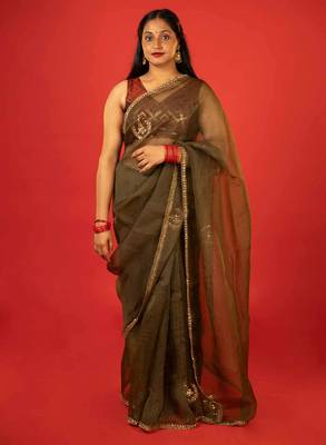 Olive embroidered organza saree 1