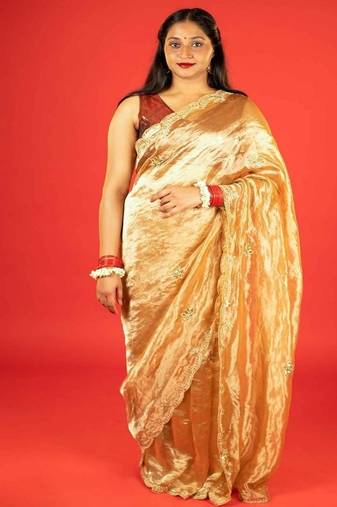 Gold embroidered tissue saree