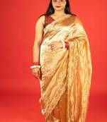 Gold embroidered tissue saree