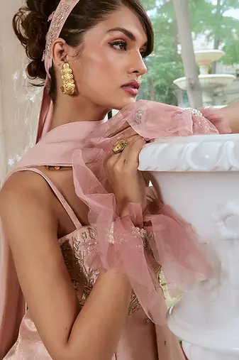 Pink embroidered georgette saree
