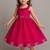 Ranipink soft space silk with diamond and panel work gown