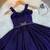 Navyblue soft space silk with diamond and panel work gown