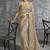 Beige tissue traditional saree with embroidered, resham and thread work for ceremonial