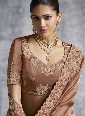 Brown tissue saree with embroidered work 2