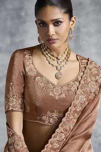 Brown tissue saree with embroidered work