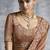 Brown tissue traditional saree with embroidered, resham and thread work for ceremonial
