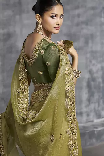 Olive green tissue saree with embroidered work