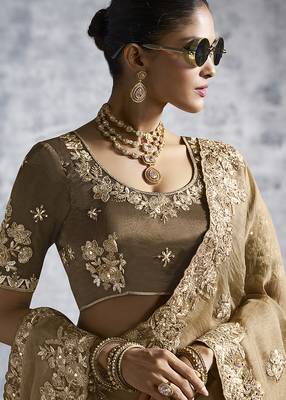 Beige tissue saree with embroidered work 2