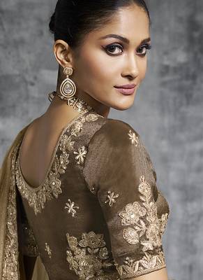 Beige tissue saree with embroidered work 3