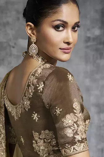 Beige tissue saree with embroidered work