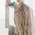 Beige fancy fabric embroidered contemporary saree