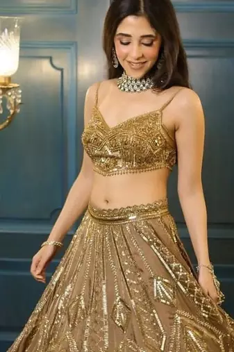 Chiku Color Embroidery & Sequence Work Net Lehenga Choli