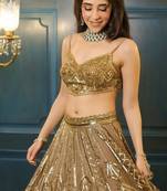 Chiku Color Embroidery & Sequence Work Net Lehenga Choli