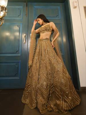 Chiku Color Embroidery & Sequence Work Net Lehenga Choli 2