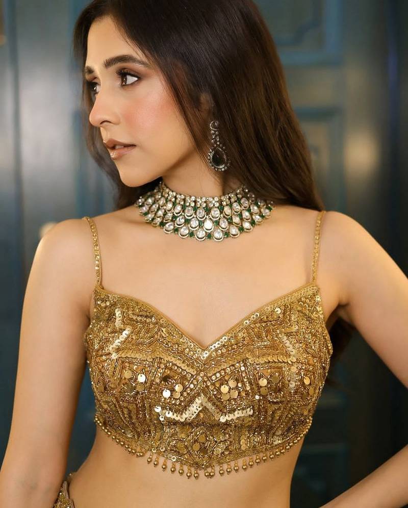 Chiku Color Embroidery & Sequence Work Net Lehenga Choli