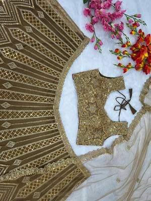 Chiku Color Embroidery & Sequence Work Net Lehenga Choli 4