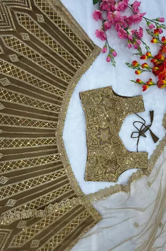 Chiku Color Embroidery & Sequence Work Net Lehenga Choli