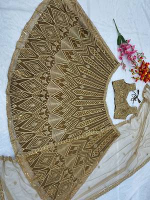 Chiku Color Embroidery & Sequence Work Net Lehenga Choli 5