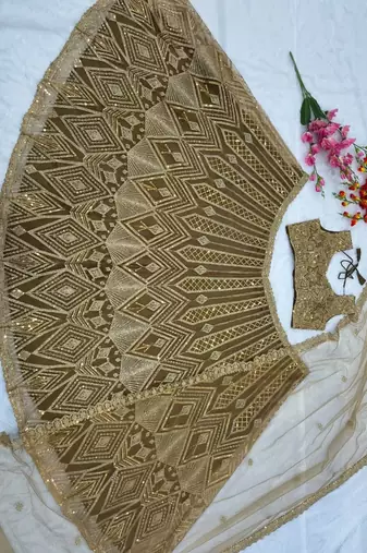 Chiku Color Embroidery & Sequence Work Net Lehenga Choli