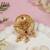 Gold plated traditional saree pin/dress pins for women 