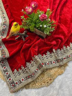 Red Velvet Embroidered with 5mm Sequence with Fancy Glass Pipe Lace Work Saree 4