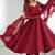 Maroon soft georgette lucknowi sequins anarkali with 4 mtr flair, stitched pant and ruffle dupatta set