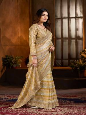 Gold embroidered banarasi silk saree 2