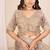 Chiku embroidered georgette saree