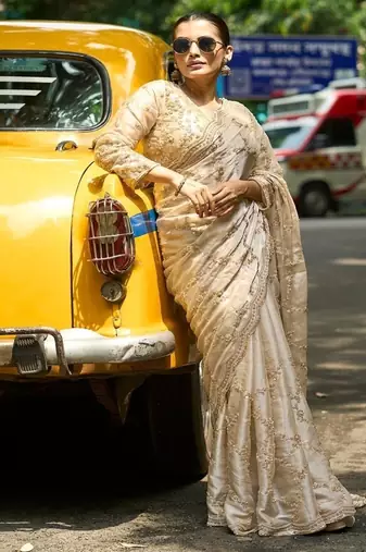 Chiku embroidered organza saree