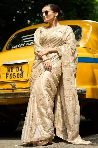 Chiku embroidered organza saree