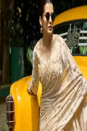 Chiku embroidered organza saree