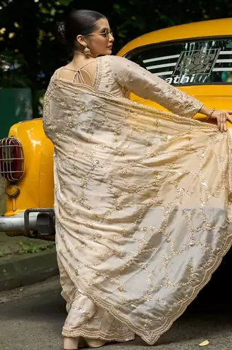 Chiku embroidered organza saree