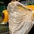 Chiku embroidered organza saree
