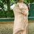 Pink embroidered banarasi saree