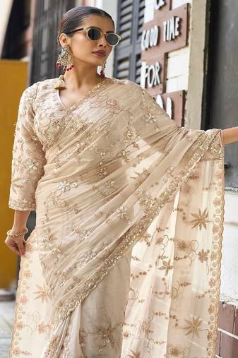 Chiku embroidered banarasi tissue saree