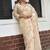 Chiku embroidered banarasi tissue saree