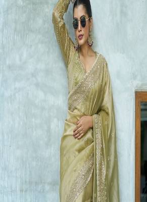 Pista embroidered banarasi silk saree 2