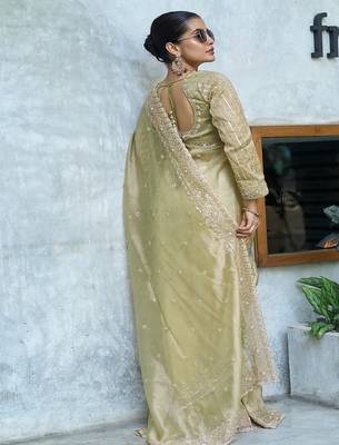 Pista embroidered banarasi silk saree 5