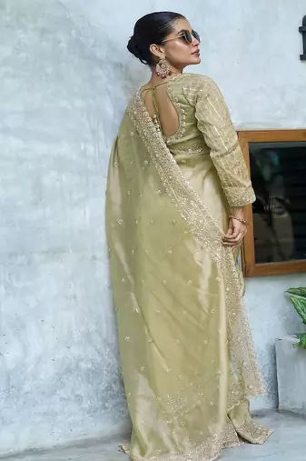 Pista embroidered banarasi silk saree