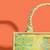 Mint silk embroidered tote bag