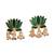 Divine petal inspired green necklace set