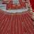 Red Thread Embroidered Boomer Silk Lehenga Set